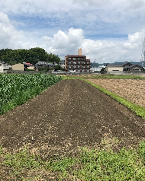 6/20　作業記録