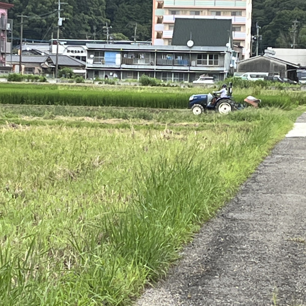 4号地　耕耘、畝立て作業