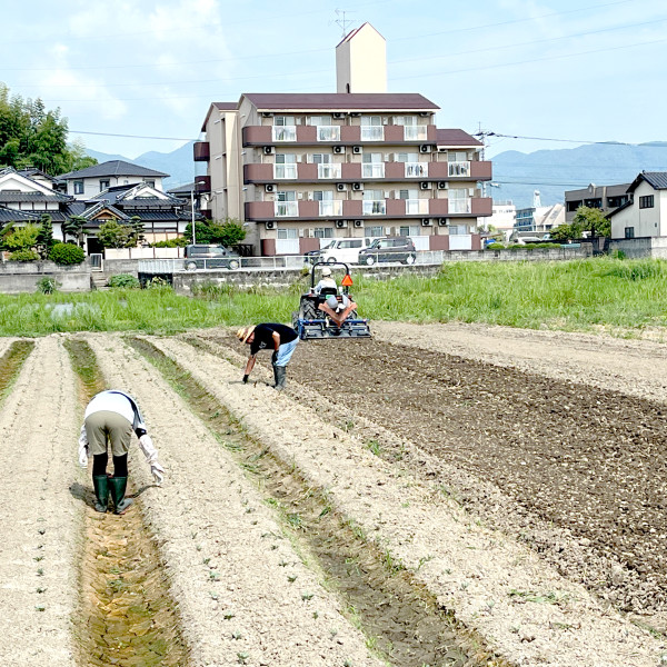 耕耘、耕耘っと！