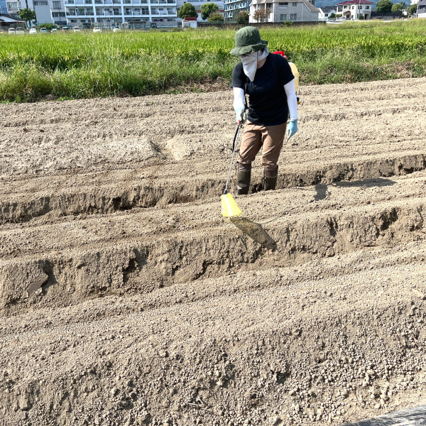 雑草の管理も大切！